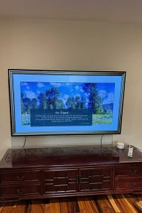 Samsung Frame TV mounting, Fremont, 1/5/2025